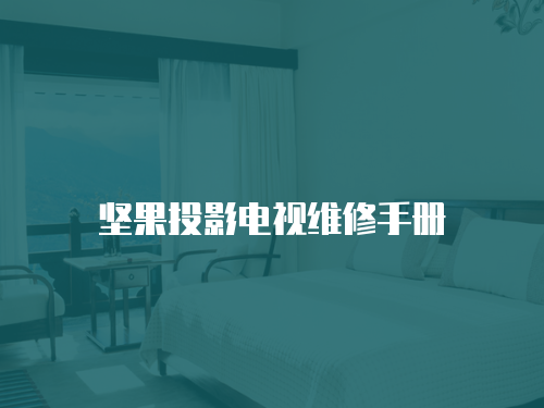 堅果投影電視維修手冊