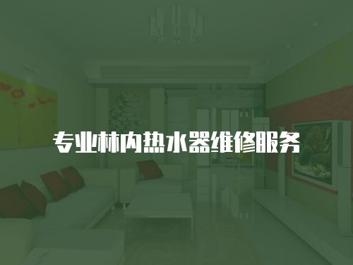 專業林內熱水器維修服務