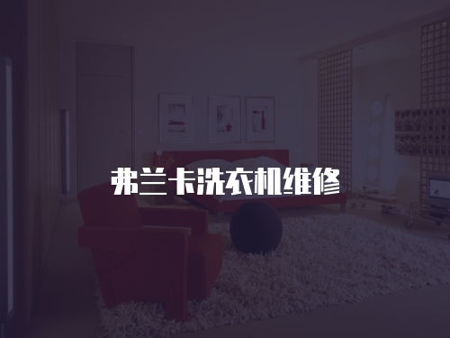 弗蘭卡洗衣機維修