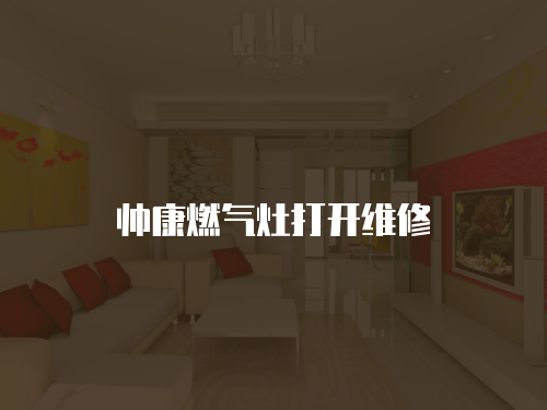 帥康燃?xì)庠畲蜷_(kāi)維修