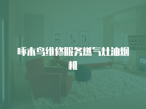 啄木鳥維修服務燃氣灶油煙機