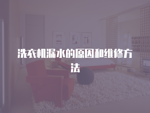 洗衣機漏水的原因和維修方法