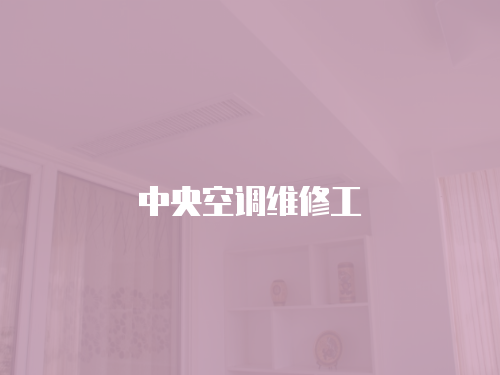 中央空調(diào)維修工