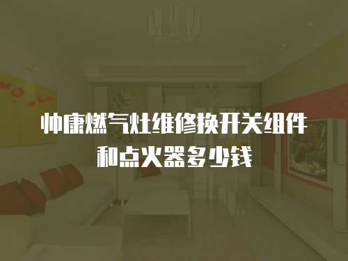 帥康燃?xì)庠罹S修換開關(guān)組件和點(diǎn)火器多少錢