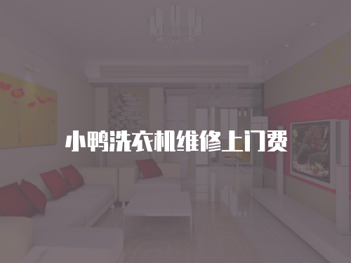 小鴨洗衣機維修上門費