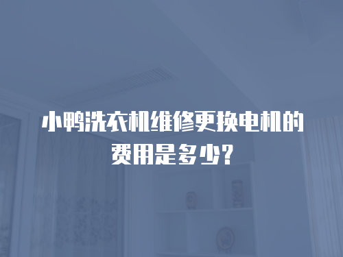 小鴨洗衣機維修更換電機的費用是多少？