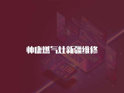 帥康燃?xì)庠钚陆S修