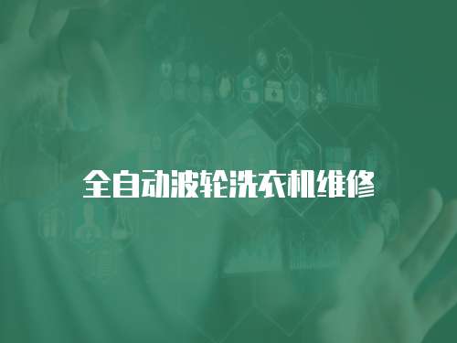 全自動(dòng)波輪洗衣機(jī)維修