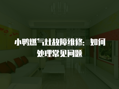 小鴨燃氣灶故障維修：如何處理常見問題