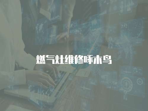 燃氣灶維修啄木鳥