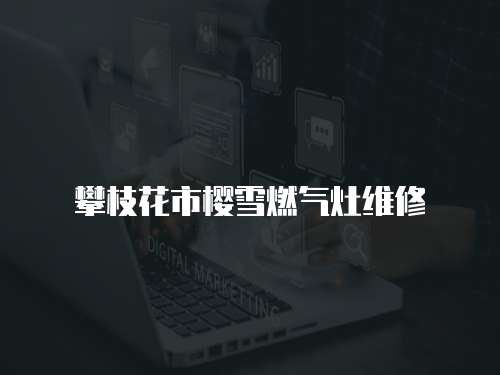 攀枝花市櫻雪燃氣灶維修