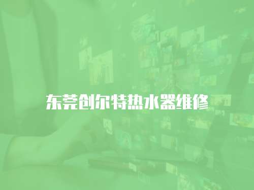 東莞創(chuàng)爾特?zé)崴骶S修