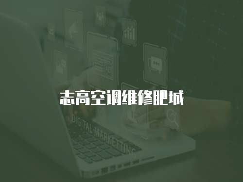 志高空調(diào)維修肥城
