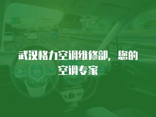 武漢格力空調維修部，您的空調專家