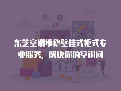 東芝空調(diào)維修壁掛式柜式專業(yè)服務(wù)，解決你的空調(diào)問