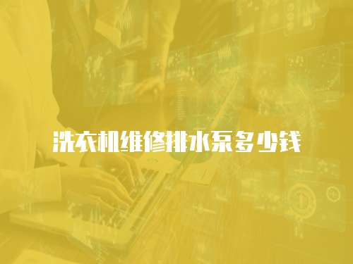 洗衣機(jī)維修排水泵多少錢