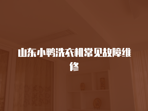 山東小鴨洗衣機常見故障維修