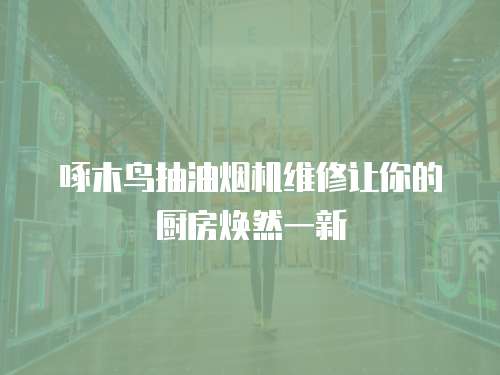 啄木鳥抽油煙機維修讓你的廚房煥然一新
