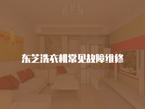 東芝洗衣機常見故障維修