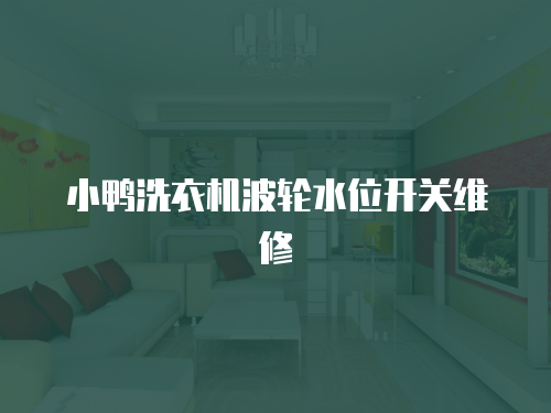 小鴨洗衣機(jī)波輪水位開關(guān)維修