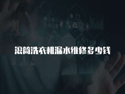 滾筒洗衣機(jī)漏水維修多少錢