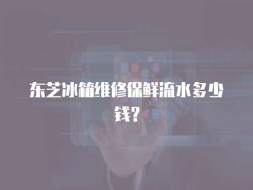 東芝冰箱維修保鮮流水多少錢？