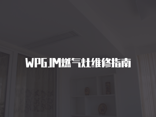 WPGJM燃?xì)庠罹S修指南