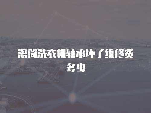 滾筒洗衣機軸承壞了維修費多少