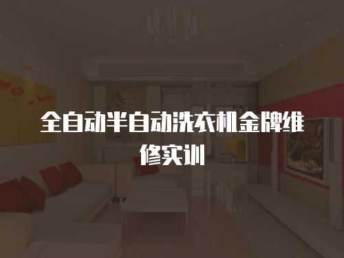 全自動(dòng)半自動(dòng)洗衣機(jī)金牌維修實(shí)訓(xùn)
