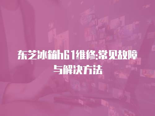 東芝冰箱h61維修:常見故障與解決方法