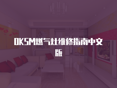 OKSM燃?xì)庠罹S修指南中文版