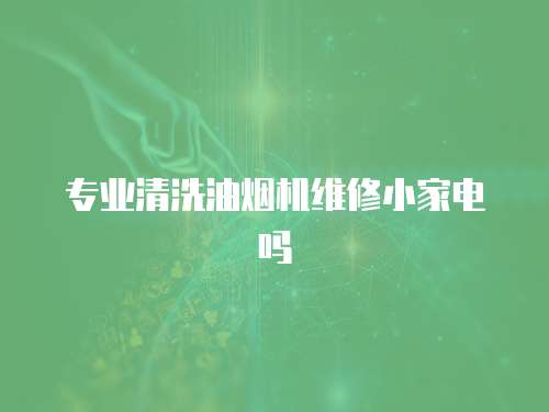 專業(yè)清洗油煙機(jī)維修小家電嗎