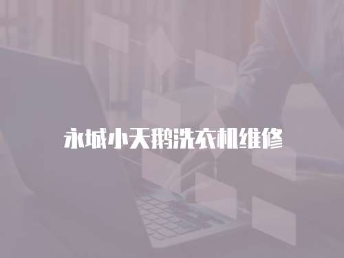 永城小天鵝洗衣機維修