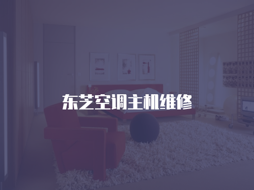 東芝空調(diào)主機(jī)維修