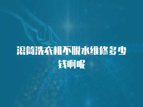 滾筒洗衣機不脫水維修多少錢啊呢