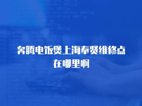 奔騰電飯煲上海奉賢維修點在哪里啊