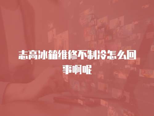 志高冰箱維修不制冷怎么回事啊呢