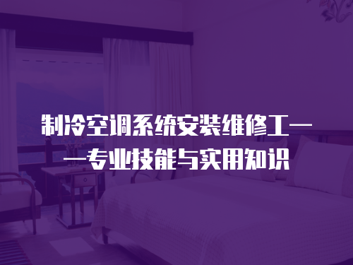制冷空調系統安裝維修工——專業技能與實用知識