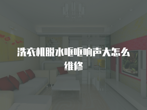 洗衣機脫水哐哐響聲大怎么維修