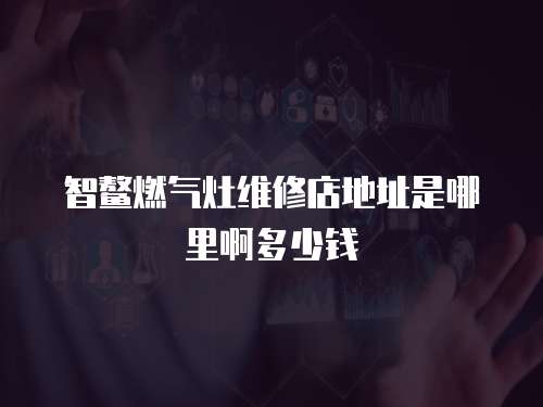 智鰲燃?xì)庠罹S修店地址是哪里啊多少錢