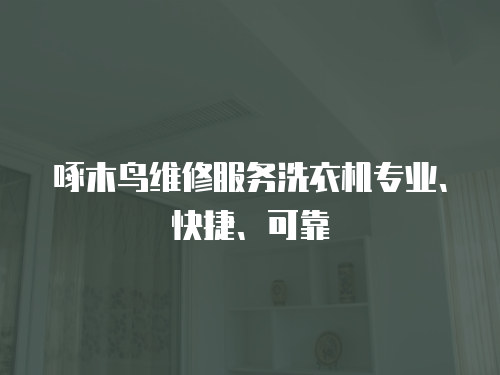 啄木鳥維修服務洗衣機專業、快捷、可靠